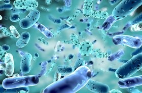 Probiotyki wykazują potencjał w leczeniu schorzeń układu oddechowego. Czy zastąpią antybiotyki w leczeniu chorób płuc?