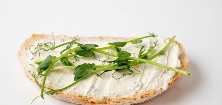 kanapka z pieczywa pszennego z białym serem