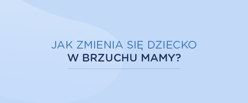 Infografika: Jak zmienia się dziecko w brzuchu mamy?