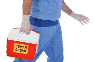 Pierwszy polski płyn do przechowywania narządów do przeszczepów