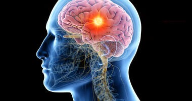 Mózg człowieka jako symbol postępującego porażenia nadjądrowego (PSP)