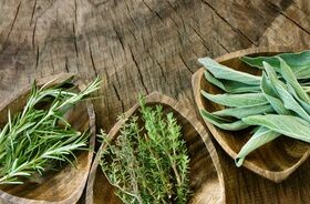 Roślinna terapia zatruć pokarmowych