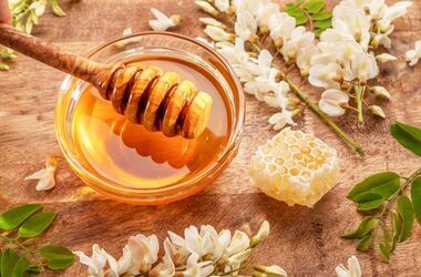 miód, właściwości miodu, właściwości zdrowotne miodu
