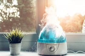 Suche powietrze w domu – jak sobie z nim radzić?