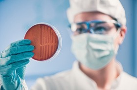 Pracownik laboratorum trzymający w prawej dłoni szalkę z hodowlą bakterii