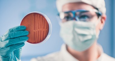 Pracownik laboratorum trzymający w prawej dłoni szalkę z hodowlą bakterii