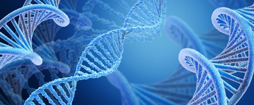 „Śmieciowe DNA” – czy jest kluczem do powstrzymania procesów starzenia się i nowotworzenia?