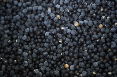 Jagoda acai  (acai berry) i płaski brzuch?
