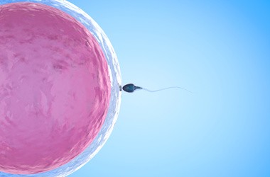 3. tydzień ciąży – objawy w trzecim tygodniu ciąży