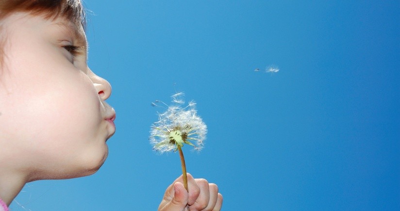 Najczęściej uczulające alergeny