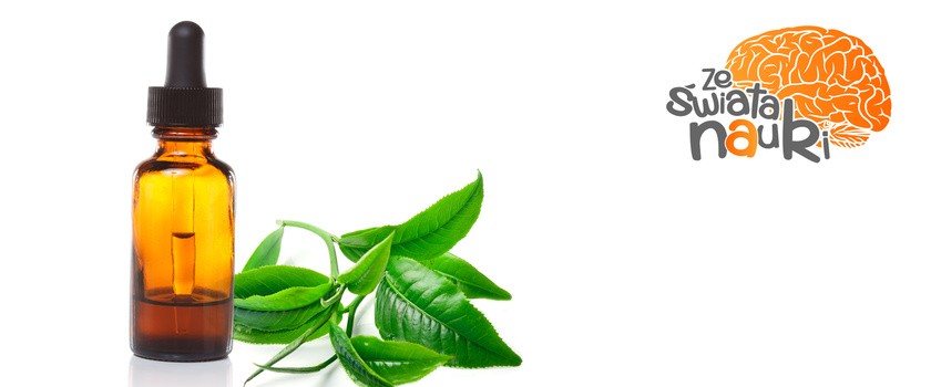 Olejek z drzewa herbacianego vs nużeniec. Co na to badania?