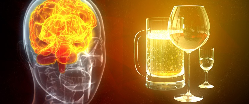 GHrafika przedstawiająca wpływ alkoholu na mózg człowieka
