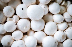 Pieczarki – wartości odżywcze, właściwości. Jak przechowywać i przyrządzać?