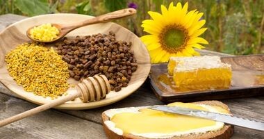 pierzga i inne produkty pszczele, pierzga pszczela, właściwości pierzgi, stosowanie pierzgi