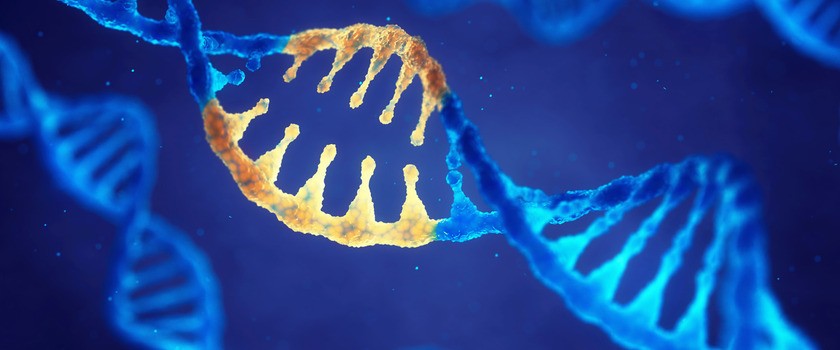Terapia genowa – co to jest? W leczeniu jakich chorób można ją wykorzystać?