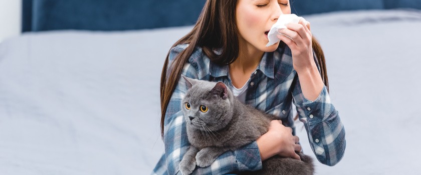 Szczepionka pomoże zwalczyć alergię na koty