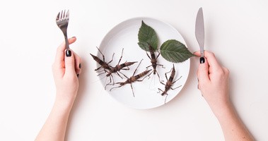 Jedzenie owadów może poprawiać mikroflorę jelitową