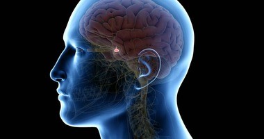 Rezonans magnetyczny przysadki mózgowej – przebieg badania. Jakie są skutki uboczne MRI przysadki z kontrastem?