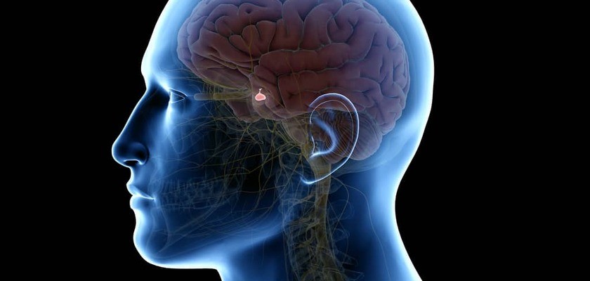 Rezonans magnetyczny przysadki mózgowej – przebieg badania. Jakie są skutki uboczne MRI przysadki z kontrastem?
