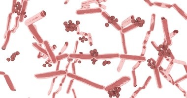 6 zaskakujących faktów o dobrych bakteriach