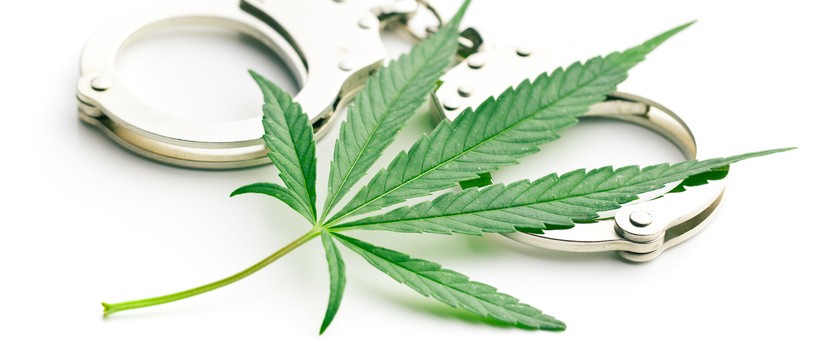 Legalna marihuana dla śmiertelnie chorych pacjentów z Nowej Zelandii