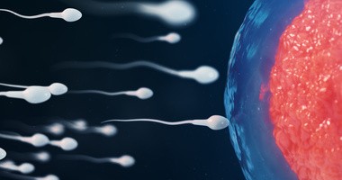Zmiana diety w bardzo krótkim czasie może wpłynąć na jakość spermy
