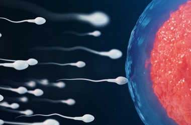 Zmiana diety w bardzo krótkim czasie może wpłynąć na jakość spermy