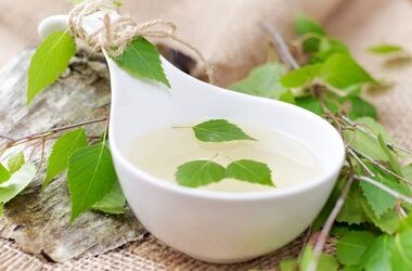 Roślinna moc brzozy