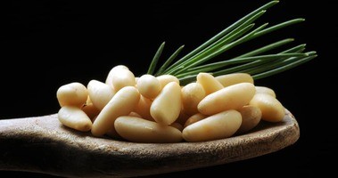 Orzeszki pinii (orzechy piniowe, piniole) – właściwości, wartości odżywcze, zastosowanie