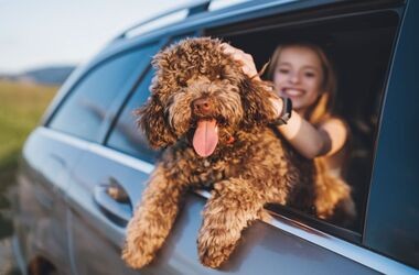 wyjazd z pupilem, wyjazd z psem, wakacje z psem, co zabrać w podróż z psem