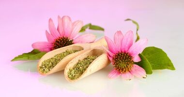 echinacea purpurea, jeżówka purpurowa, produkty na odporność