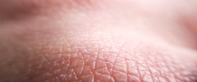 Ludzka skóra w zbliżeniu
