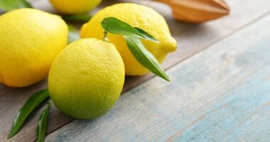 Cytryna - dlaczego warto ją polubić?