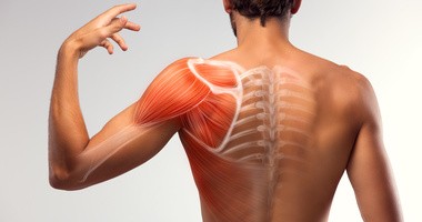 Rehabilitacja i ćwiczenia w domu mięśnia nadgrzbietowego