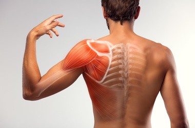Rehabilitacja i ćwiczenia w domu mięśnia nadgrzbietowego