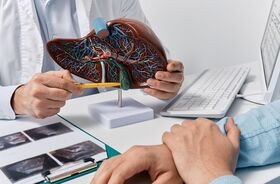 WZW, wirusowe zapalenie wątroby, objawy wirusowego zapalenia wątroby, rodzaje wirusowego zapalenia wątroby, wiruswe zapalenie wątroby typu, lekarz pokazuje pacjentowi model wątroby