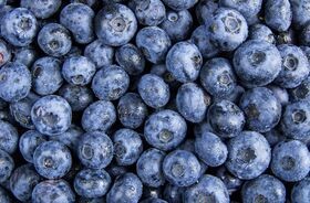 borówki, źródło antocyjanów, antocyjany, czym są antocyjany, źródła antocyjanów, antocyjany w diecie
