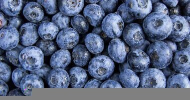 borówki, źródło antocyjanów, antocyjany, czym są antocyjany, źródła antocyjanów, antocyjany w diecie