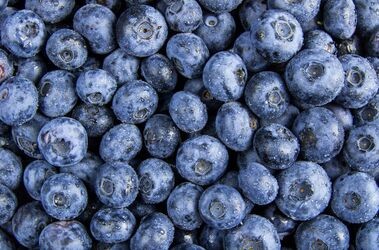 borówki, źródło antocyjanów, antocyjany, czym są antocyjany, źródła antocyjanów, antocyjany w diecie