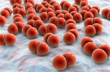 Pneumokoki – czym są i jakie choroby wywołują? Jak chronić się przed pneumokokami?