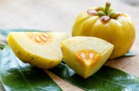 Owoc garcinia cambogia na odchudzanie.