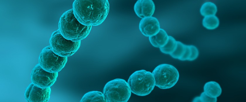 Antybiotykooporne bakterie mogą przyspieszać gojenie się ran