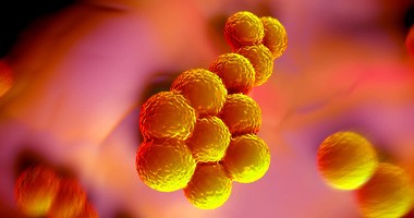 Gronkowiec złocisty (Staphylococcus aureus) – objawy i leczenie zakażenia gronkowcem