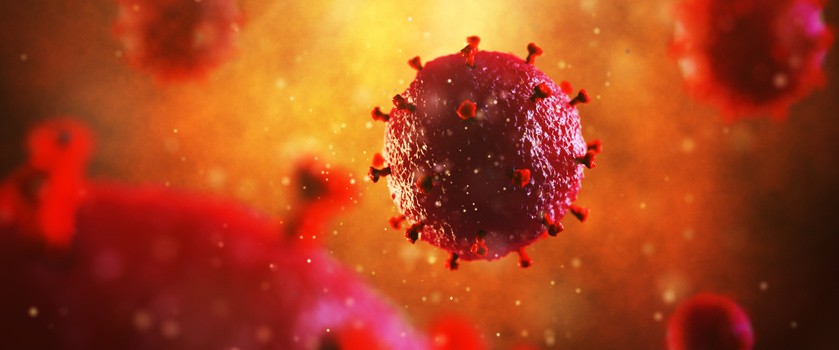 Naukowcy wyeliminowali wirusa HIV ze zwierzęcego genomu