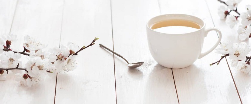 Herbata biała – co warto o niej wiedzieć? Właściwości, zastosowanie, sposób parzenia