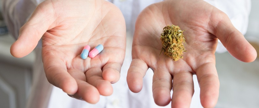 Powraca temat legalizacji medycznej marihuany