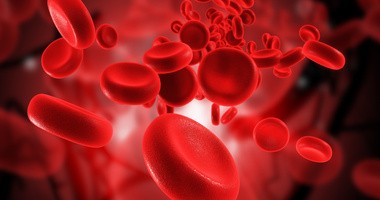 Komórki krwi w naczyniu krwionośnym