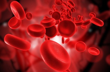 Komórki krwi w naczyniu krwionośnym