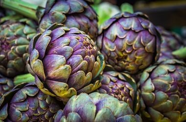 karczoch, właściwości karczocha, na co pomoże karczoch, jakie wartości odżywcze ma karczoch