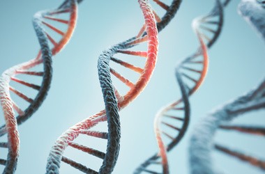 Wizualizacja DNA jako miejsca, gdzie lokalizuje się przyczyna zespołu Huntera